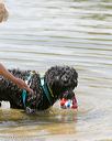 20140817-awd-0219