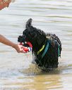 20140817-awd-0222