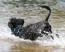 20140817-awd-0223