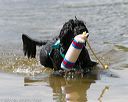 20140817-awd-0232