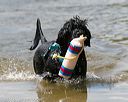 20140817-awd-0233