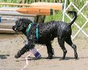 20140817-awd-0238