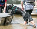 20140817-awd-0239