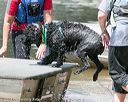 20140817-awd-0240