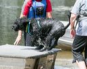 20140817-awd-0241