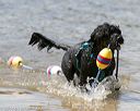 20140817-awd-0257