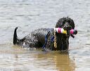 20140817-awd-0268