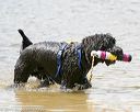 20140817-awd-0271