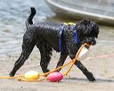 20140817-awd-0294
