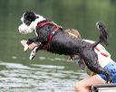 20140817-cwd-0003