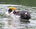 20140817-cwd-0007