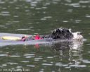 20140817-cwd-0014