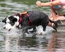 20140817-cwd-0022