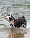 20140817-cwd-0028