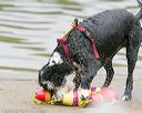20140817-cwd-0036