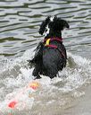 20140817-cwd-0037