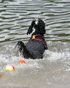 20140817-cwd-0039