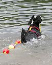 20140817-cwd-0041