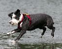 20140817-cwd-0046