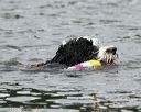 20140817-cwd-0055