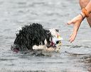 20140817-cwd-0057