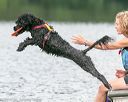 20140817-cwd-0076