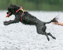 20140817-cwd-0077