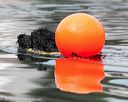 20140817-cwd-0143