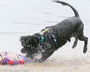 20140817-cwd-0179