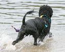 20140817-cwd-0191