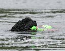 20140817-cwd-0209
