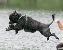20140817-cwd-0212