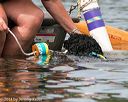 20140817-cwd-0217