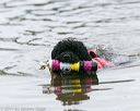 20140817-cwd-0227