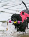 20140817-cwd-0231