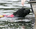 20140817-cwd-0241