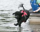 20140817-cwd-0245