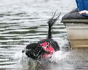 20140817-cwd-0246