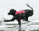 20140817-cwd-0276
