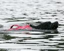 20140817-cwd-0299