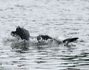 20140817-cwd-0308