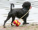20140817-cwd-0330