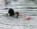 20140817-cwd-0337