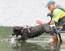 20140817-cwd-0357