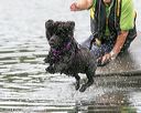 20140817-cwd-0369