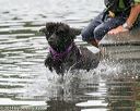 20140817-cwd-0370