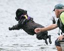 20140817-cwd-0391