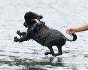 20140817-cwd-0392