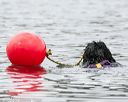 20140817-cwd-0421