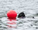 20140817-cwd-0422
